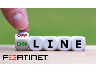 تفاوت لایسنس آنلاین و آفلاین فورتی گیت