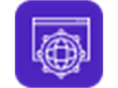 MANAGED SECURITY PROVIDERS